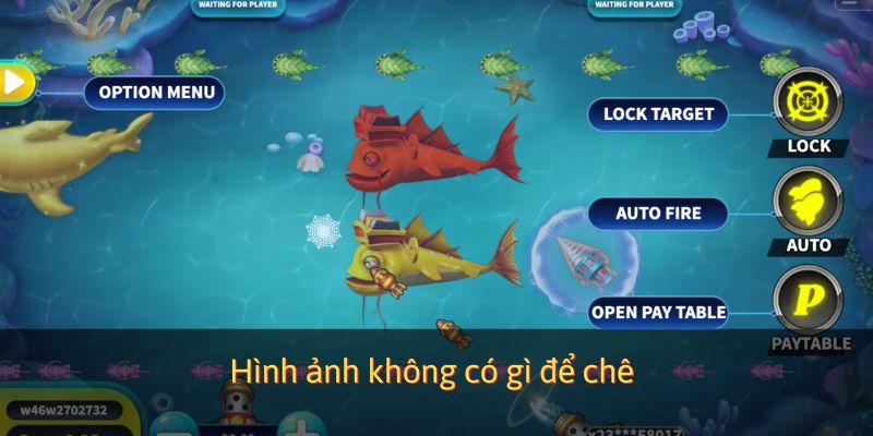 Hình ảnh không có gì để chê