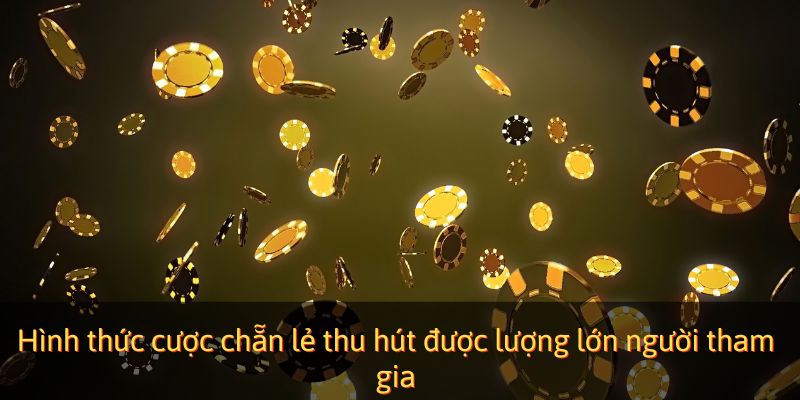 Hình thức cược chẵn lẻ thu hút được lượng lớn người tham gia