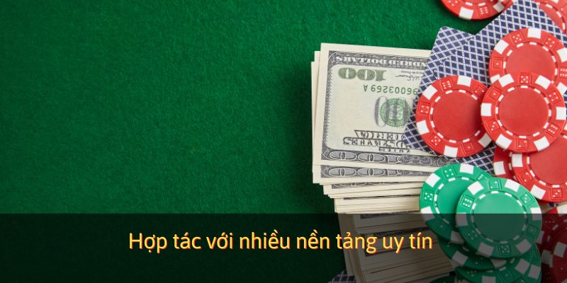 Hợp tác với nhiều nền tảng uy tín