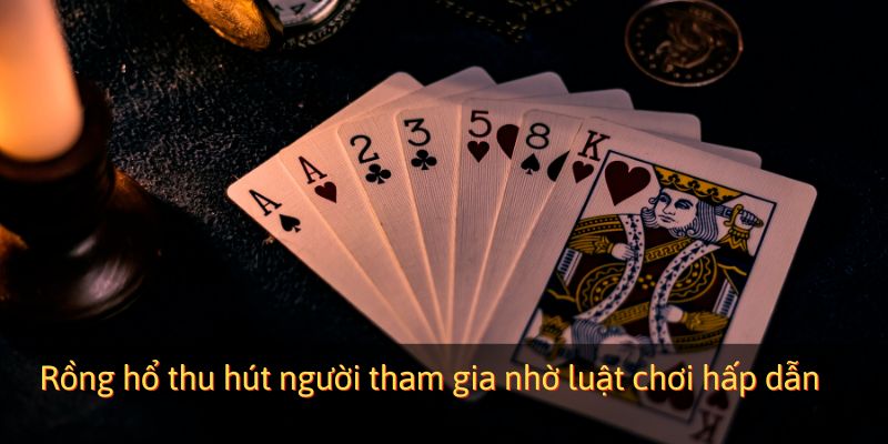 Rồng hổ thu hút người tham gia nhờ luật chơi hấp dẫn