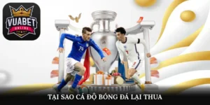 tại sao cá độ bóng đá lại thua
