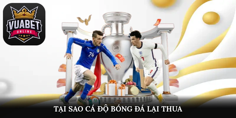 tại sao cá độ bóng đá lại thua